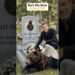 🐾🕊️ R.I.P. 5 Legendary Animal Movie Stars Who Stole Our Hearts,Partner with their Hollywood stars