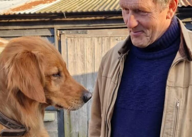 A piada 'trágica' sobre cachorros da estrela de TV Monty Don, do Gardener's World