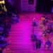 Amplificar Arte | Música | Cultura
