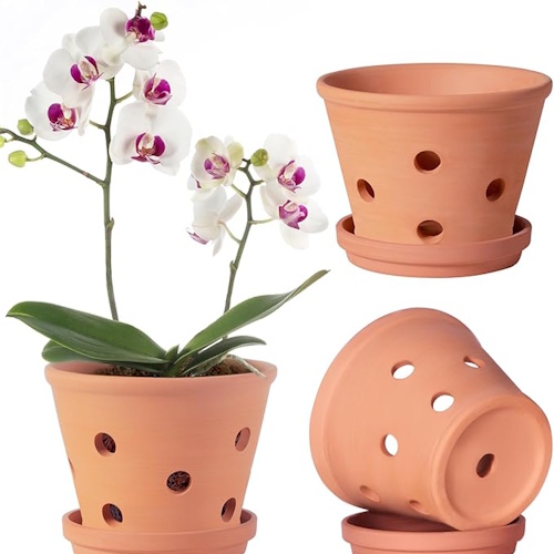As orquídeas de Martha Stewart fazem uma decoração de interiores deslumbrante