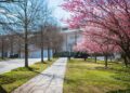 Caos em Washington, demissões em Nova York e música por toda parte | Artes e Vida