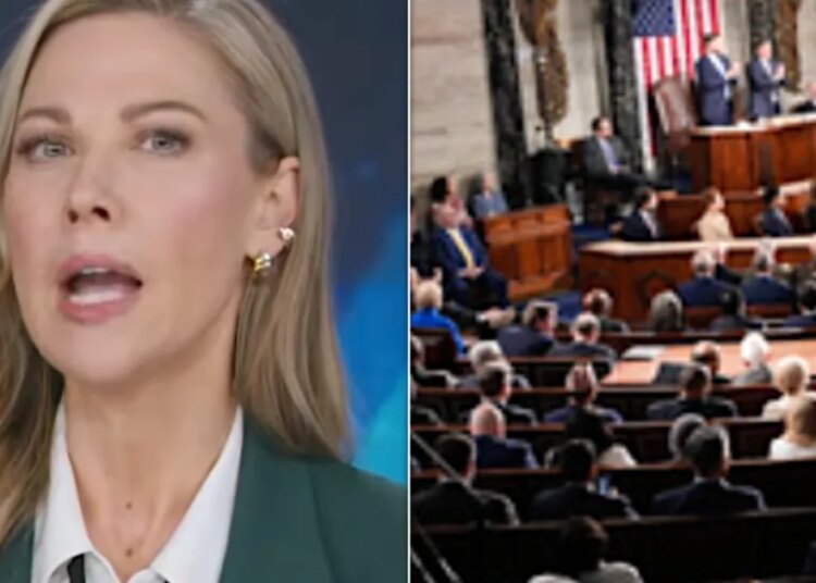 Desi Lydic revela o verdadeiro motivo pelo qual os democratas cochilaram durante o estado de união de Trump