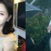 Eventos cruciais que levaram à morte de Barbie Hsu revelados no vídeo do primeiro aniversário, Entertainment News