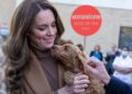 Faça nosso teste sobre animais de estimação reais enquanto Kate Middleton confirma o novo membro peludo da família