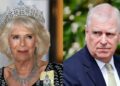 Família Real compartilha a primeira mensagem da Rainha Camilla com vídeo em meio à crise de Andrew