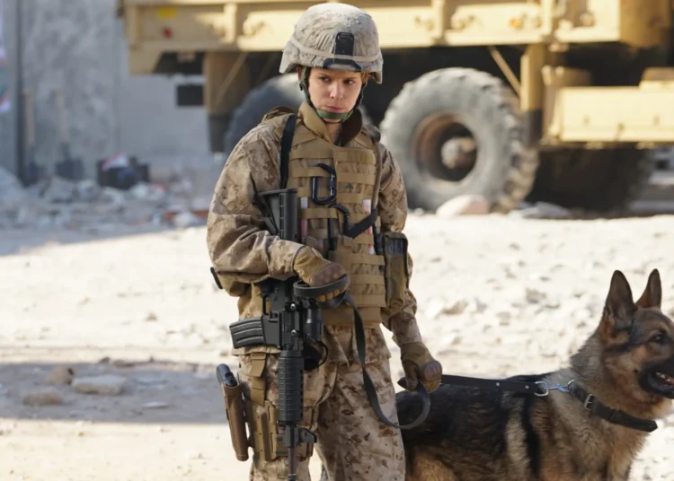 Feliz aniversário, Kate Mara: seus melhores filmes e destaques de carreira