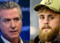 Gavin Newsom critica Trump Loving Boxer como floco de neve