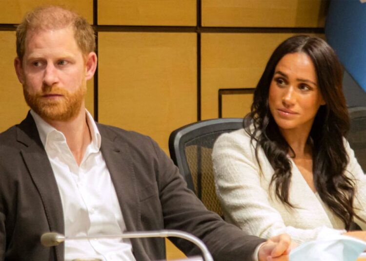 Harry, Meghan show Royal family how to make impact without public money