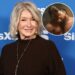 Martha Stewart não gosta de rivalidade acalorada, observa MobLand