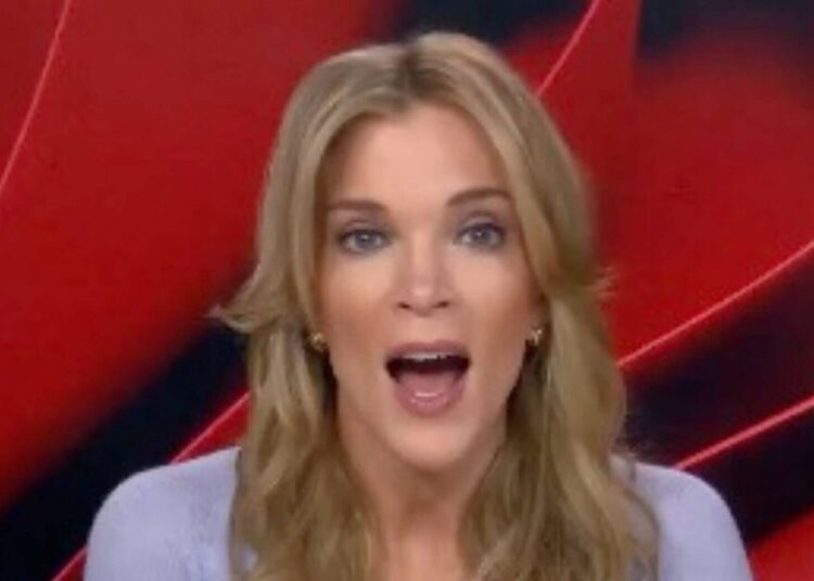 Megyn Kelly critica Today por postagem ‘perversa’ em meio à pesquisa de Nancy Guthrie – Celebrity News – Entertainment