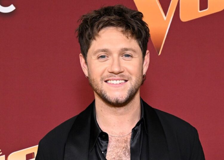 Niall Horan shares update on new music on the way