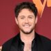 Niall Horan shares update on new music on the way