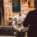 Nova exposição celebra como a música moldou a América – The Suffolk Journal