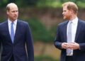 O Príncipe William se distanciou deliberadamente do Príncipe Harry enquanto se preparava para o trono: mordomo