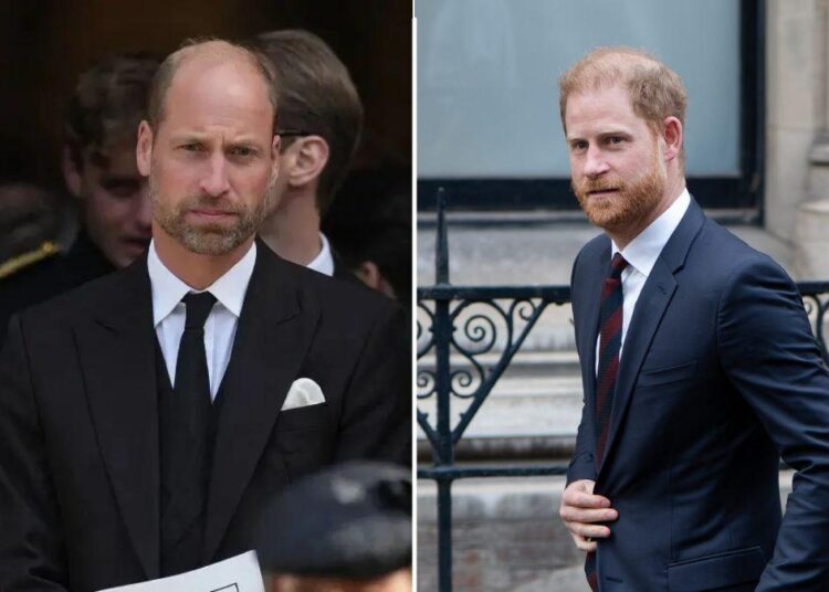 O príncipe William ‘se distanciou’ de Harry enquanto se prepara para o futuro