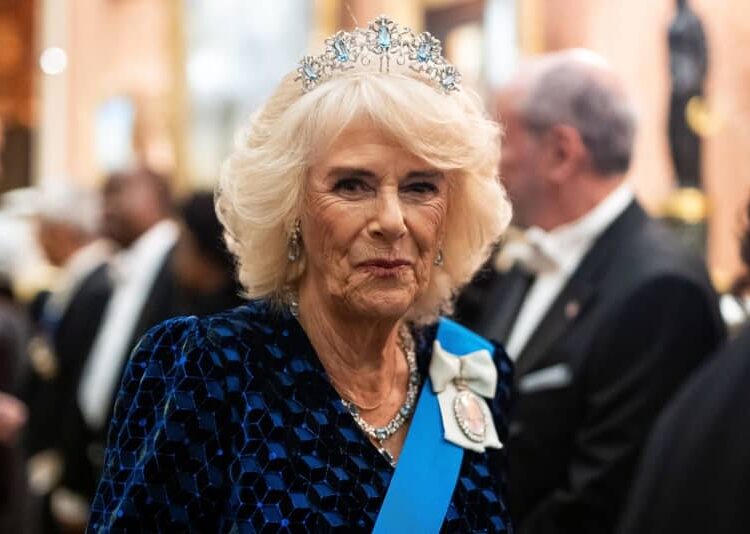 Pop star quebra protocolo real com Camilla