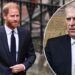 Prince Harry takes wise step as Andrew police probe stirs royal trouble