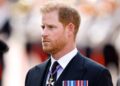 Príncipe Harry 'frustrado' com comparações de Andrew após prisão policial | Real | Notícias