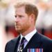 Príncipe Harry 'frustrado' com comparações de Andrew após prisão policial | Real | Notícias