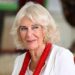Queen Camilla’s supporter makes surprising U-turn for royal family