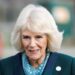 Rainha Camilla recebe 'visitante especial' na Clarence House em meio à crise real