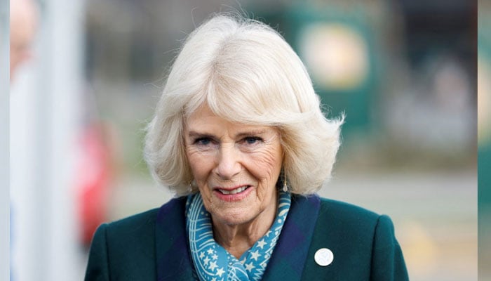 Rainha Camilla recebe 'visitante especial' na Clarence House em meio à crise real