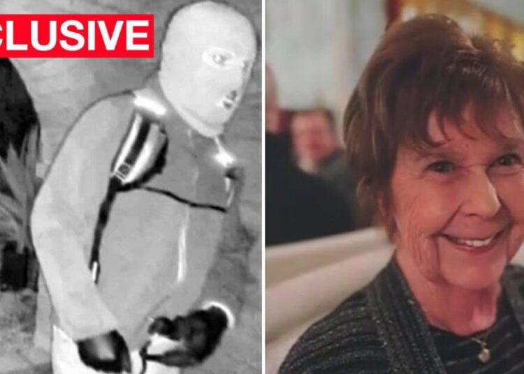 Razão pela qual os policiais atrasaram o lançamento do vídeo da campainha de Nancy Guthrie – Celebrity News – Entretenimento