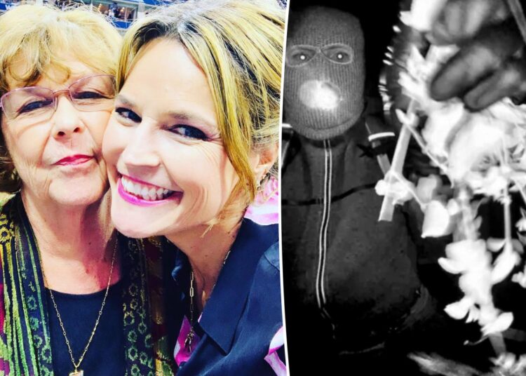 Savannah Guthrie compartilha mensagem após a divulgação de imagens do suspeito de sequestro da mãe