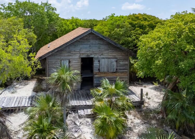 Shakira, Roger Waters do Pink Floyd e o guitarrista do Lynyrd Skynyrd Gary Rossington: esta semana no setor imobiliário de celebridades