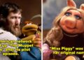 The Muppet Show: 19 fatos surpreendentes dos bastidores