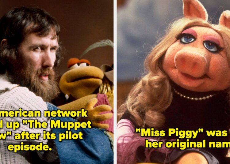 The Muppet Show: 19 fatos surpreendentes dos bastidores