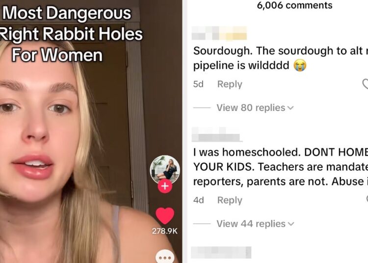 Vídeo viral explica o canal Alt-Right para mulheres