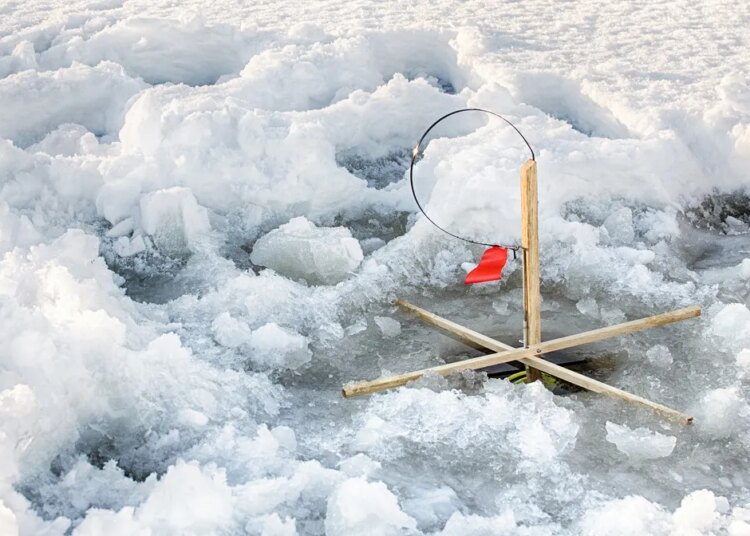 WinterFest Trout Derby traz música e jogos em 28 de fevereiro