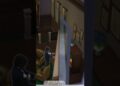 Novo episódio da série do lixo ao luxo realeza já está disponível! #thesims #thesimscc #thesims4