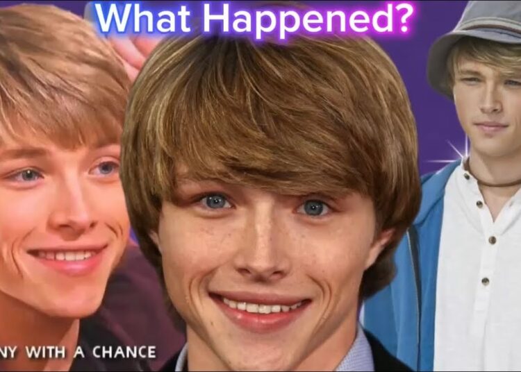 What Happened To Sterling Knight After Disney?