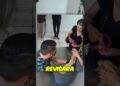 Decían que su chihuahua era de la realeza y no dejaron que un veterinario lo tocara