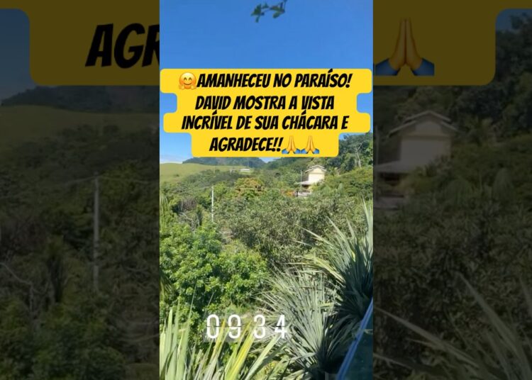 AMANHECEU NO PARAÍSO! DAVID MOSTRA A VISTA INCRÍVEL DE SUA CHÁCARA #DAVID #NATUREZA #PAZ