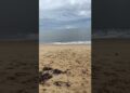 Enfim aqui em Mogiquicaba! Irei tomar um banho de mar e me recompor! Porque esse período foi tenso