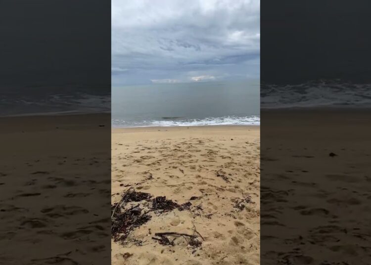 Enfim aqui em Mogiquicaba! Irei tomar um banho de mar e me recompor! Porque esse período foi tenso