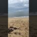 Enfim aqui em Mogiquicaba! Irei tomar um banho de mar e me recompor! Porque esse período foi tenso