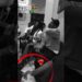 NOITE ROMÂNTICA VIRGÍNIA E VINI.JR MÃOS DADAs #virginiafonseca #vinijr #fofoca #fofocas #viral