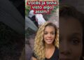 2 15 vocês ja tinham visto algo assim eq