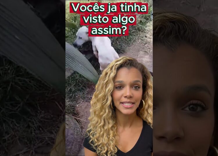 2 15 vocês ja tinham visto algo assim eq