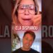 LUANA PIOVANI REAGE à CANDIDATURA de DADO DOLABELLA: “No Brasil tudo pode”  #debate