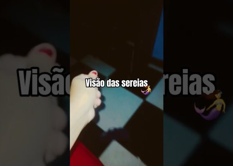 os elfos da realeza tem asas :]