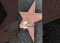 Famosos com suas estrelas quebradas #curiosidades #famosos #michaeljackson #donaldtrump