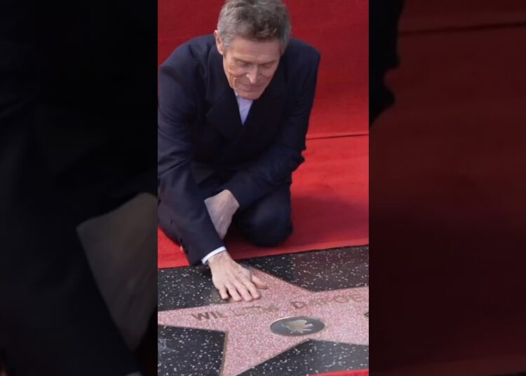 Celebridades Que Possuem Suas Estralas Vandalizadas em Hollywood!