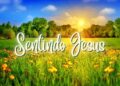 #110 Sentindo Jesus | A realeza de Jesus