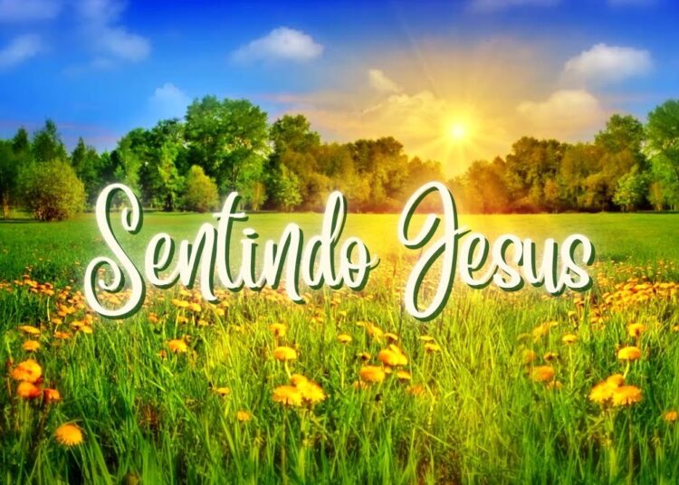 #110 Sentindo Jesus | A realeza de Jesus