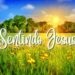 #110 Sentindo Jesus | A realeza de Jesus